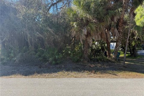 Land in Port Charlotte, Florida № 2159729 - photo 2