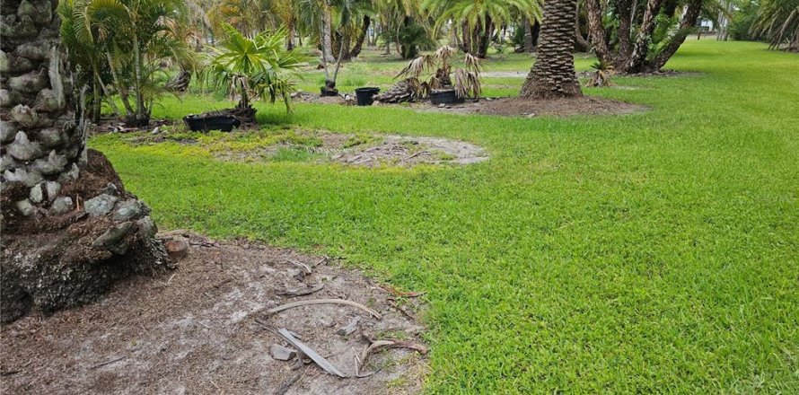 Land in Ruskin, Florida № 2112648