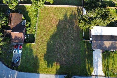 Land in Land O' Lakes, Florida № 1913080 - photo 1
