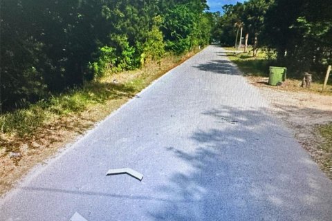 Land in Palatka, Florida № 1295308 - photo 6