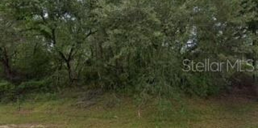 Terrain à Ocala, Floride № 1900635