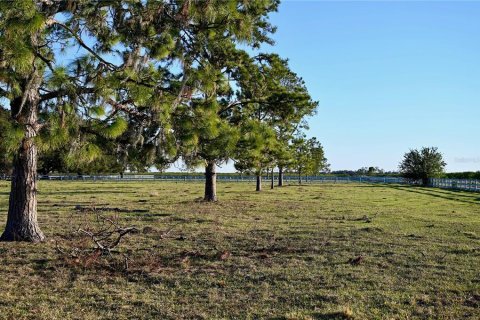 House in Fort Meade, Florida 3 bedrooms, 285.02 sq.m. № 1540069 - photo 23