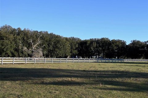 House in Fort Meade, Florida 3 bedrooms, 285.02 sq.m. № 1540069 - photo 20