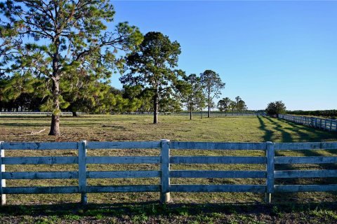 House in Fort Meade, Florida 3 bedrooms, 285.02 sq.m. № 1540069 - photo 17