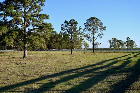House in Fort Meade, Florida 3 bedrooms, 285.02 sq.m. № 1540069 - photo 8