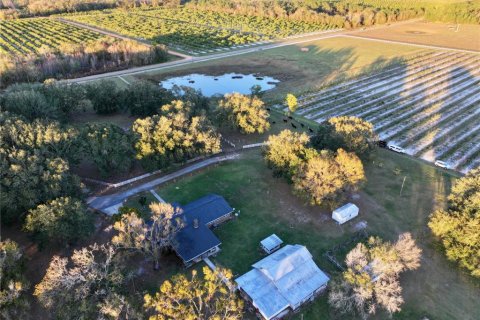 House in Fort Meade, Florida 3 bedrooms, 285.02 sq.m. № 1540069 - photo 15
