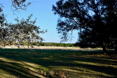 House in Fort Meade, Florida 3 bedrooms, 285.02 sq.m. № 1540069 - photo 22