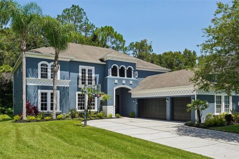 House in Wesley Chapel, Florida 6 bedrooms, 402.45 sq.m. № 1849815 - photo 1