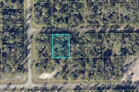 Land in Lehigh Acres, Florida № 2158361