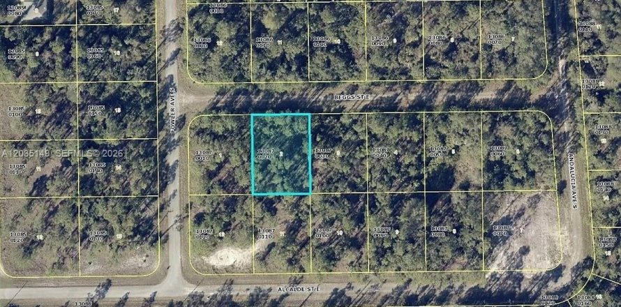Land in Lehigh Acres, Florida № 2158361