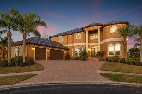 Villa ou maison à vendre à Oldsmar, Floride: 4 chambres, 488.67 m2 № 1901882 - photo 1