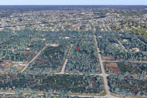 Land in Port Charlotte, Florida № 2159130 - photo 6