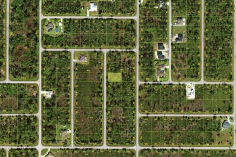 Land in Port Charlotte, Florida № 2159130 - photo 11