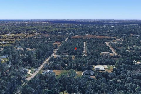 Land in Port Charlotte, Florida № 2159130 - photo 9