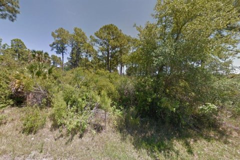 Land in Port Charlotte, Florida № 2159130 - photo 3