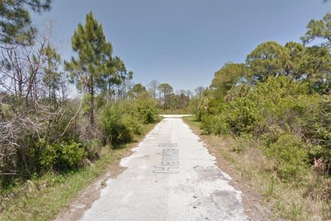 Land in Port Charlotte, Florida № 2159130 - photo 5