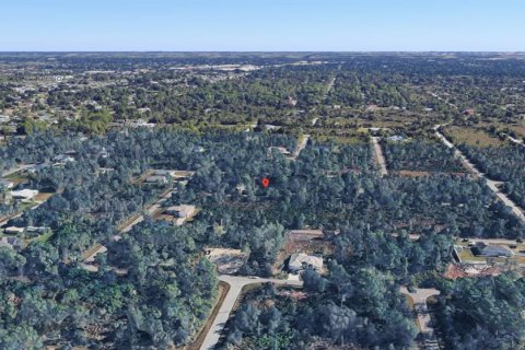 Land in Port Charlotte, Florida № 2159130 - photo 8
