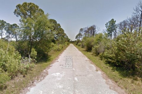 Land in Port Charlotte, Florida № 2159130 - photo 4