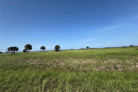 Land in Placida, Florida № 2218494