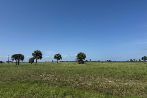 Land in Placida, Florida № 2218494 - photo 3