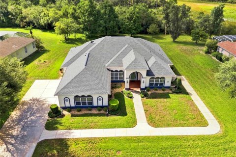 Villa ou maison à vendre à Weeki Wachee, Floride: 3 chambres, 272.67 m2 № 2406935 - photo 3