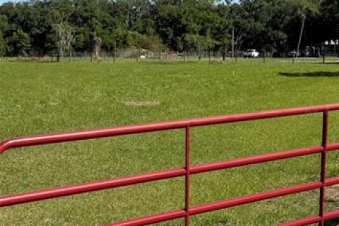 Terreno en Dover, Florida № 2214800