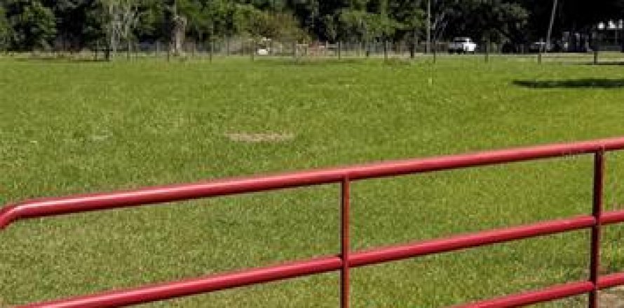 Land in Dover, Florida № 2214800