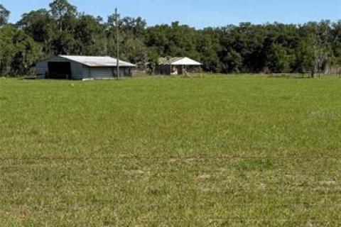 Land in Dover, Florida № 2214800 - photo 2