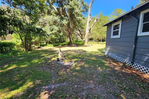 Casa en alquiler en Micanopy, Florida, 3 dormitorios, 75.25 m2 № 1912373 - foto 14
