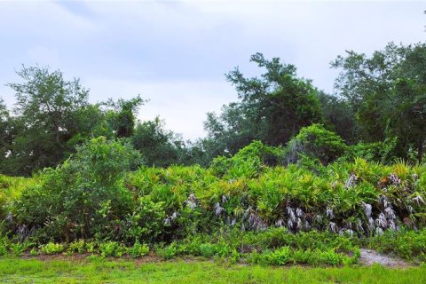 Terrain à vendre à Port Charlotte, Floride № 2266402 - photo 2