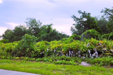 Land in Port Charlotte, Florida № 2266402
