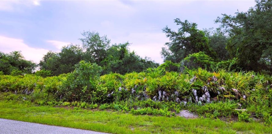 Terrain à Port Charlotte, Floride № 2266402