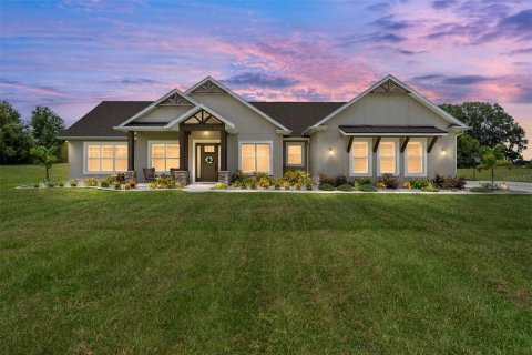 Villa ou maison à vendre à Oxford, Floride: 4 chambres, 263.84 m2 № 1907288 - photo 1