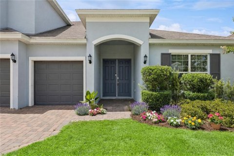 Villa ou maison à Howey-in-the-Hills, Floride 6 chambres, 370.22 m2 № 2342075