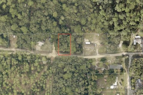 Land in Altoona, Florida № 2163837
