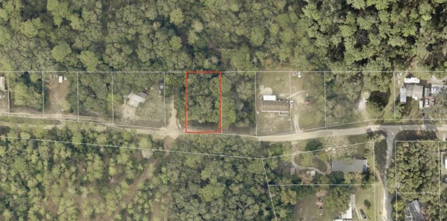 Land in Altoona, Florida № 2163837