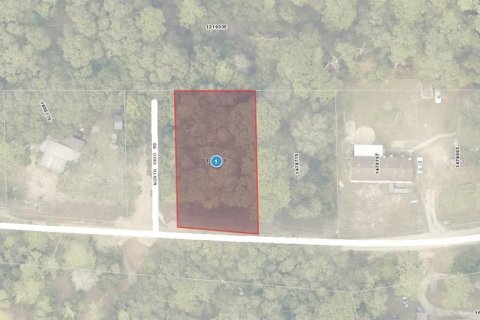 Land in Altoona, Florida № 2163837 - photo 2