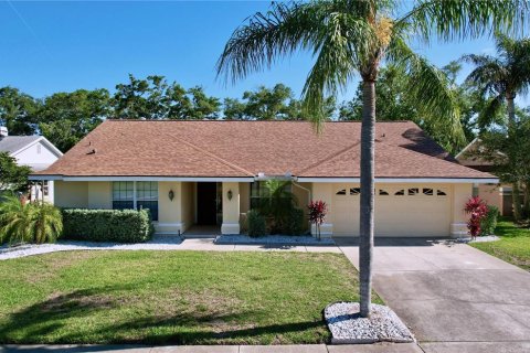 House in Palm Harbor, Florida 4 bedrooms, 204.48 sq.m. № 1751006 - photo 1