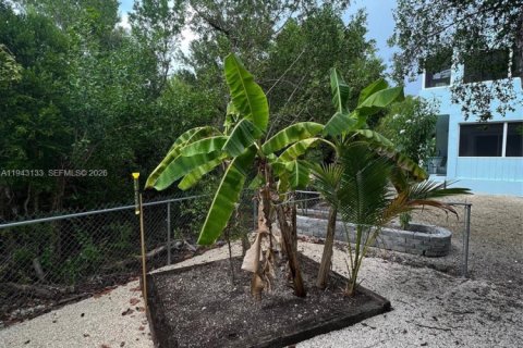 Villa ou maison à louer à Key Largo, Floride: 3 chambres, 115.94 m2 № 1999469 - photo 15