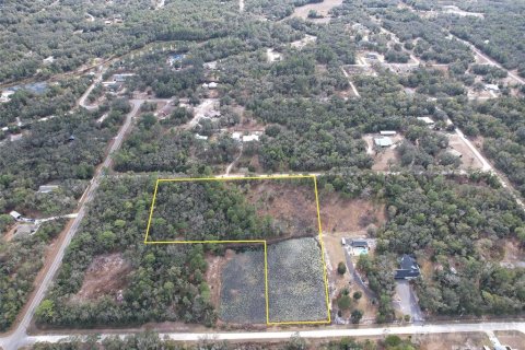 Land in Webster, Florida № 2109127 - photo 3