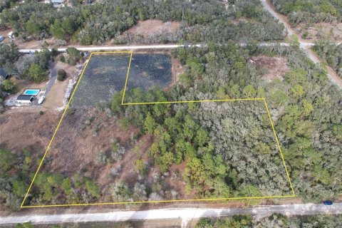 Land in Webster, Florida № 2109127