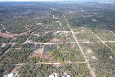 Land in Webster, Florida № 2109127 - photo 2