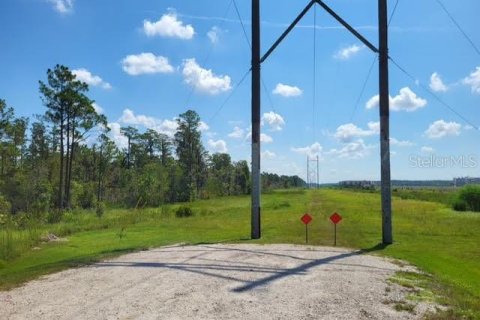 Land in Orlando, Florida № 235252 - photo 5