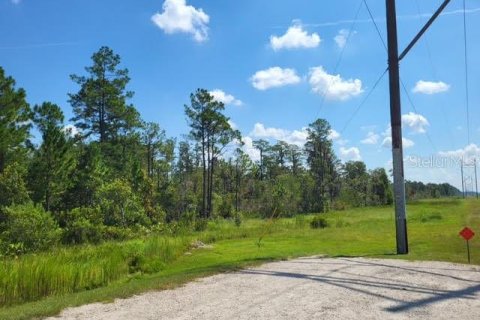 Land in Orlando, Florida № 235252 - photo 10