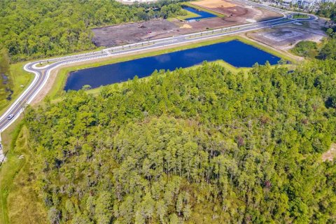 Land in Orlando, Florida № 235252 - photo 6