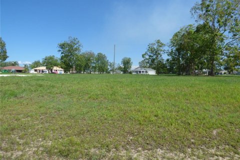 Terrain à vendre à Punta Gorda, Floride № 229817 - photo 4