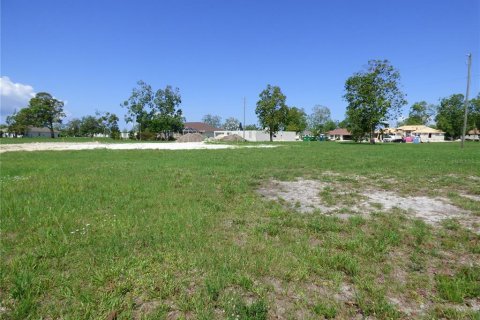 Terrain à vendre à Punta Gorda, Floride № 229817 - photo 6