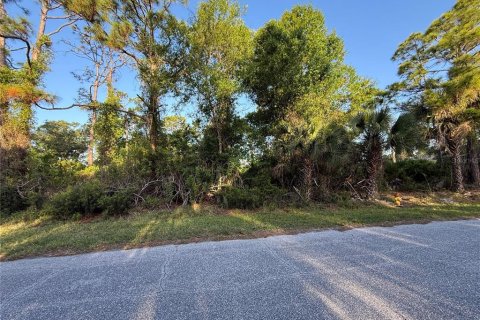 Land in Port Charlotte, Florida № 2159864 - photo 3