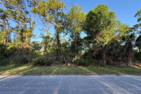 Land in Port Charlotte, Florida № 2159864