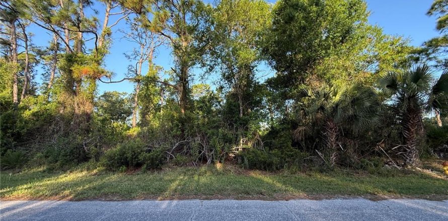 Land in Port Charlotte, Florida № 2159864